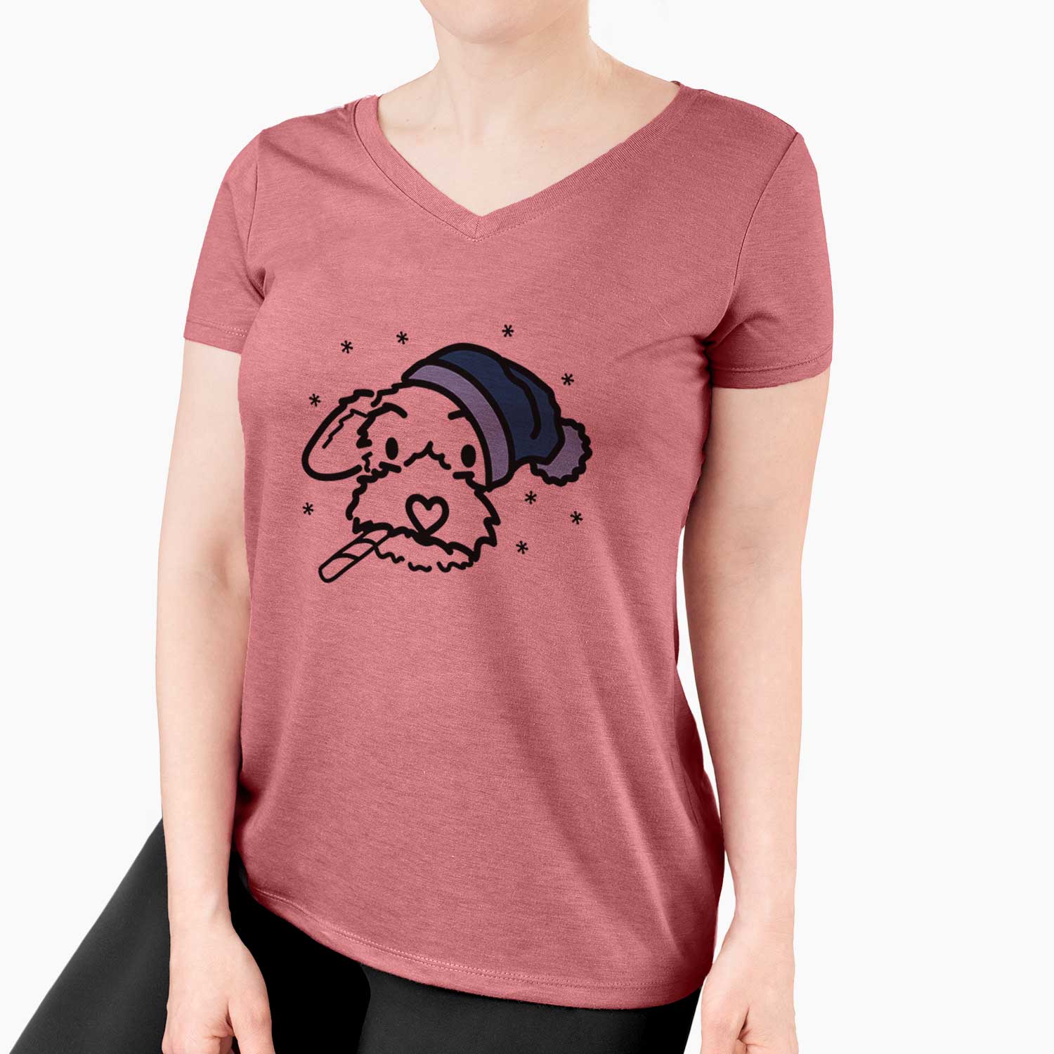 Frosty Poodle Mix - Gomer - Women's V-neck Shirt