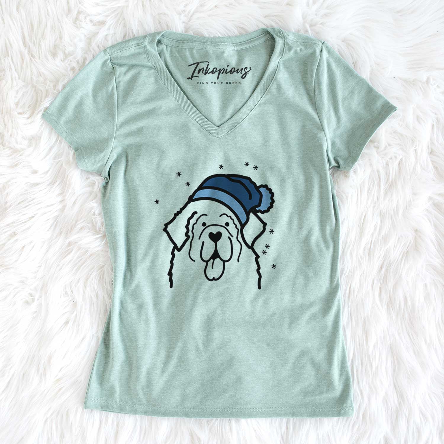 Frosty Newfoundland - Women's V-neck Shirt