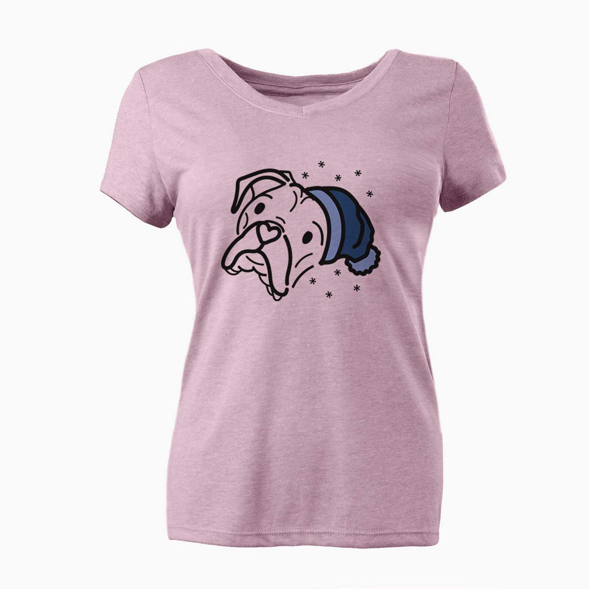 Frosty Boxer - Noodle - Women's V-neck Shirt