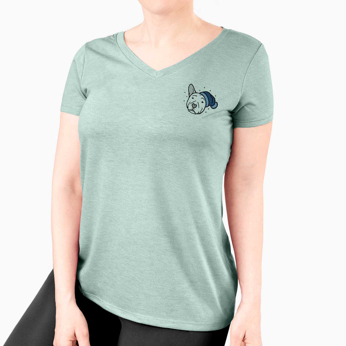 Frosty Pitbull - Archer - Women's V-neck Shirt