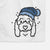 Frosty Coton de Tulear - Sophie - Decorative Hand Towel