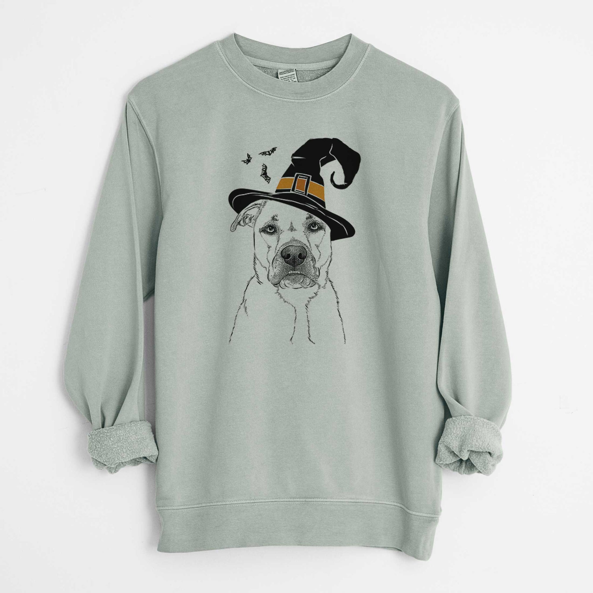 Witch Abby the Boxer Beagle Mix - Unisex Pigment Dyed Crew Sweatshirt