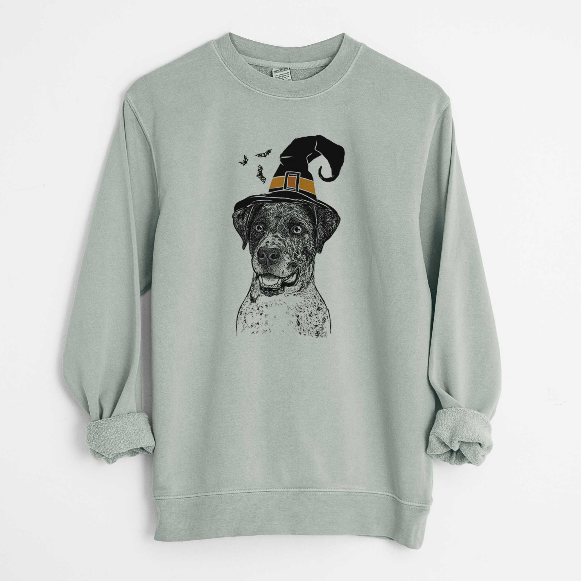 Witch Argos the Catahoula - Unisex Pigment Dyed Crew Sweatshirt