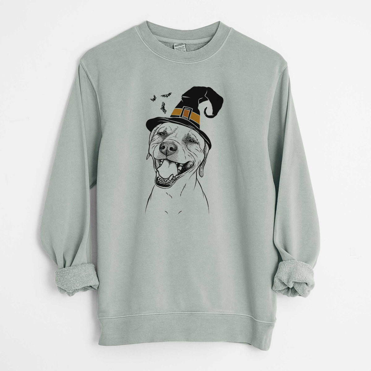 Witch Beemer the Boxer Pitbull Terrier Mix - Unisex Pigment Dyed Crew Sweatshirt