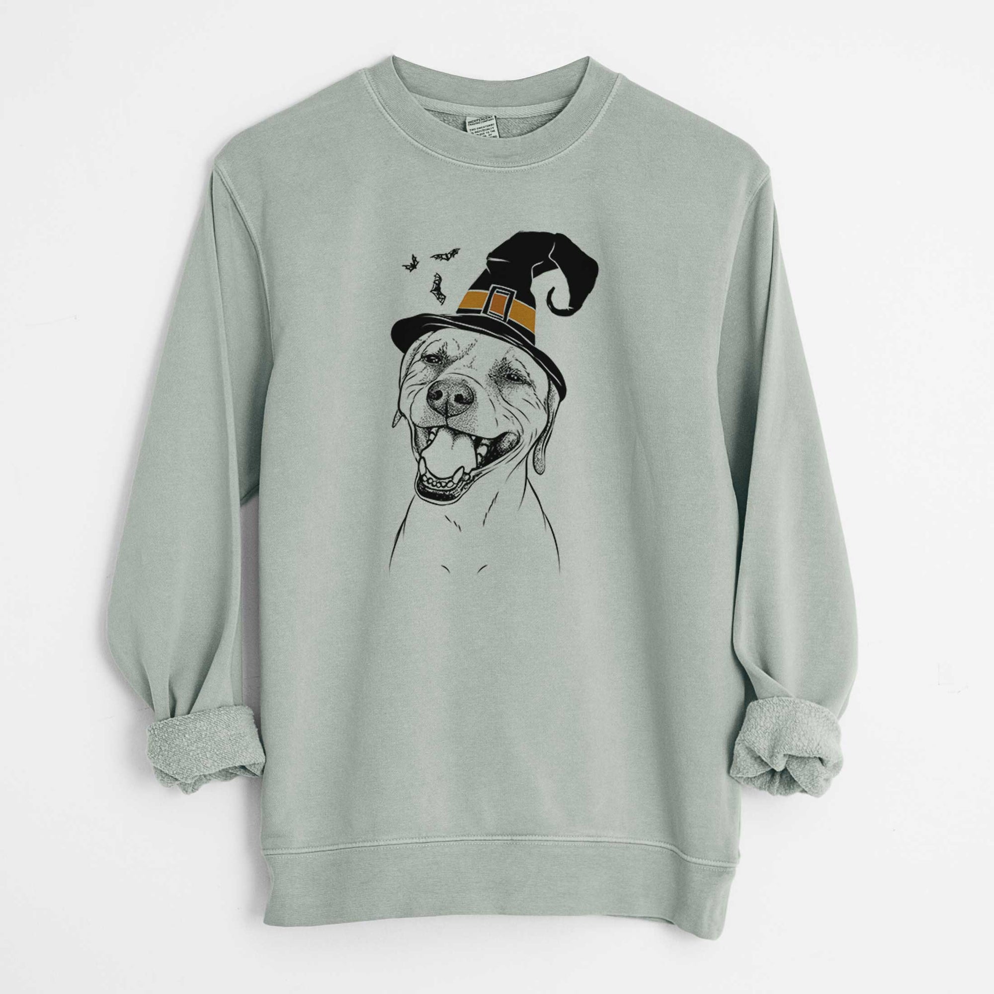 Witch Beemer the Boxer Pitbull Terrier Mix - Unisex Pigment Dyed Crew Sweatshirt