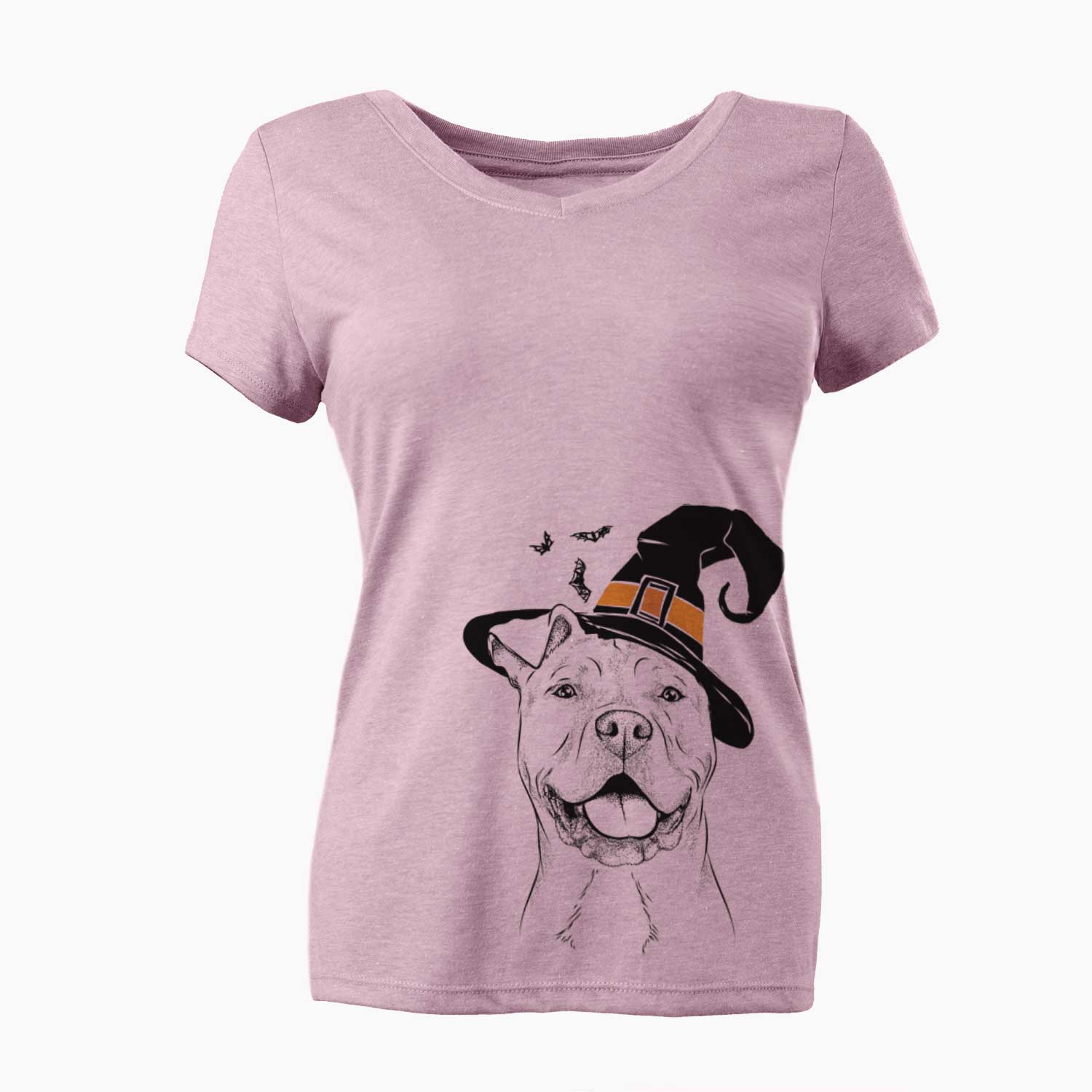 Witch Bubba Scraps the American Staffordshire Mix - Women's V-neck Shirt