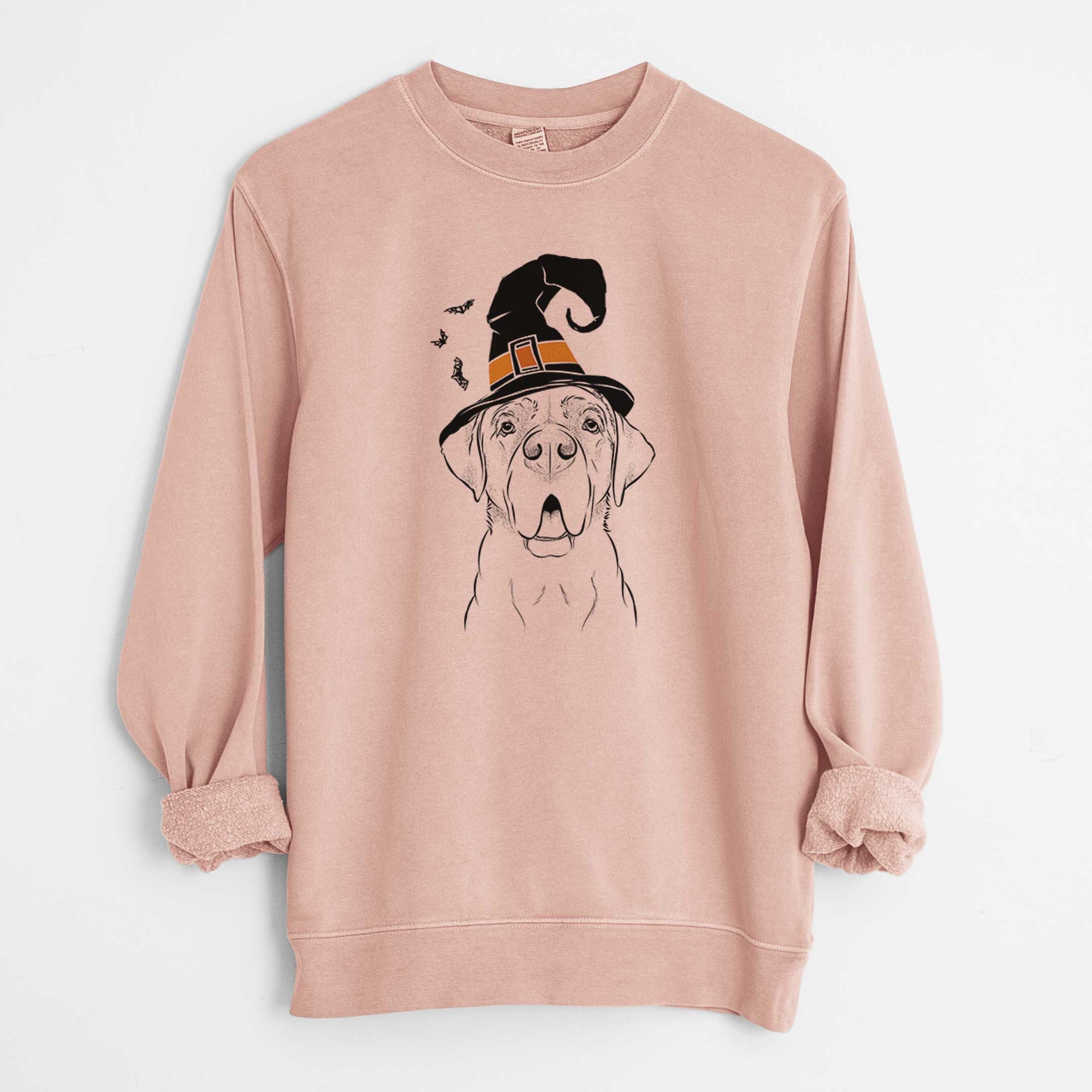 Witch Ceasar the Labrador Hound Mix - Unisex Pigment Dyed Crew Sweatshirt