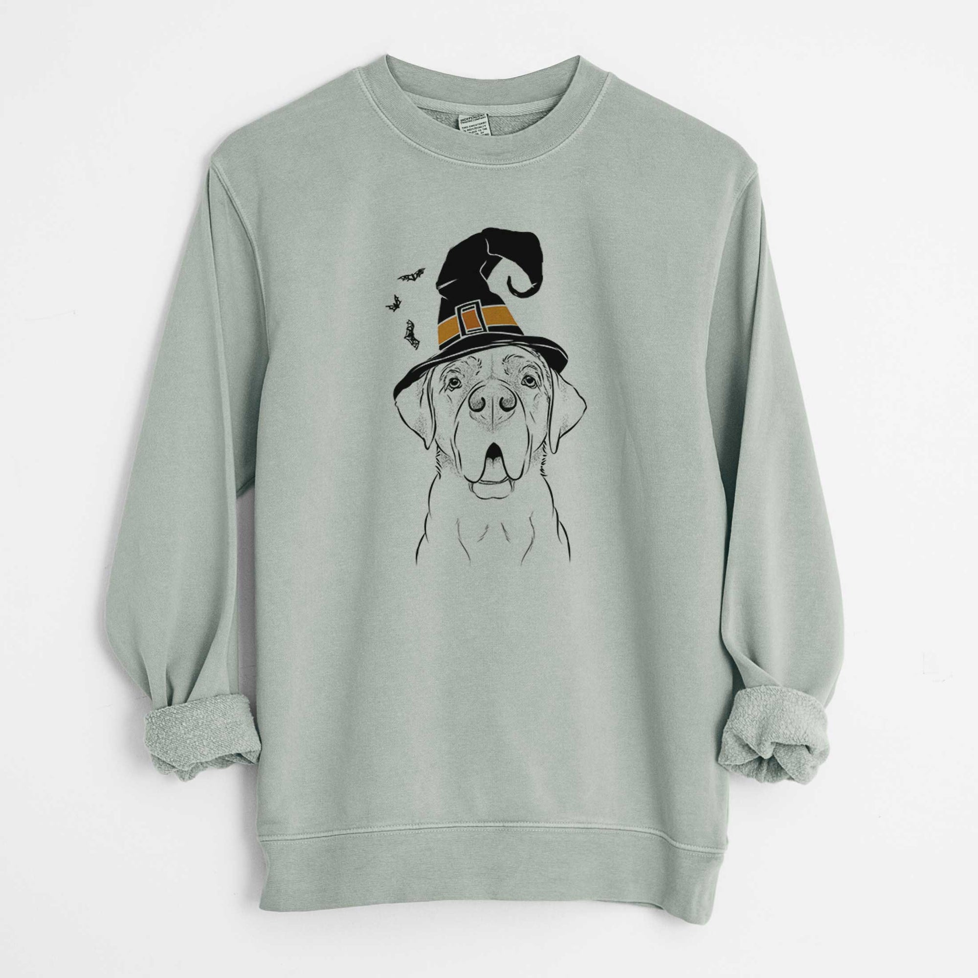 Witch Ceasar the Labrador Hound Mix - Unisex Pigment Dyed Crew Sweatshirt