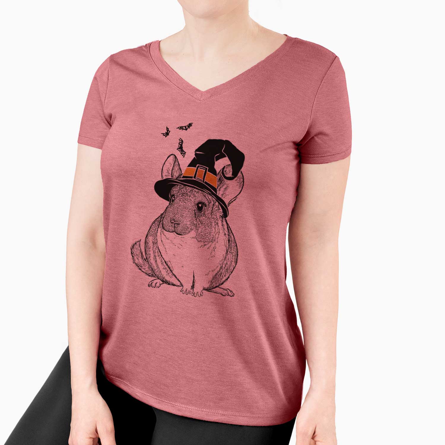 Witch Cheddar the Chinchilla - Women's V-neck Shirt