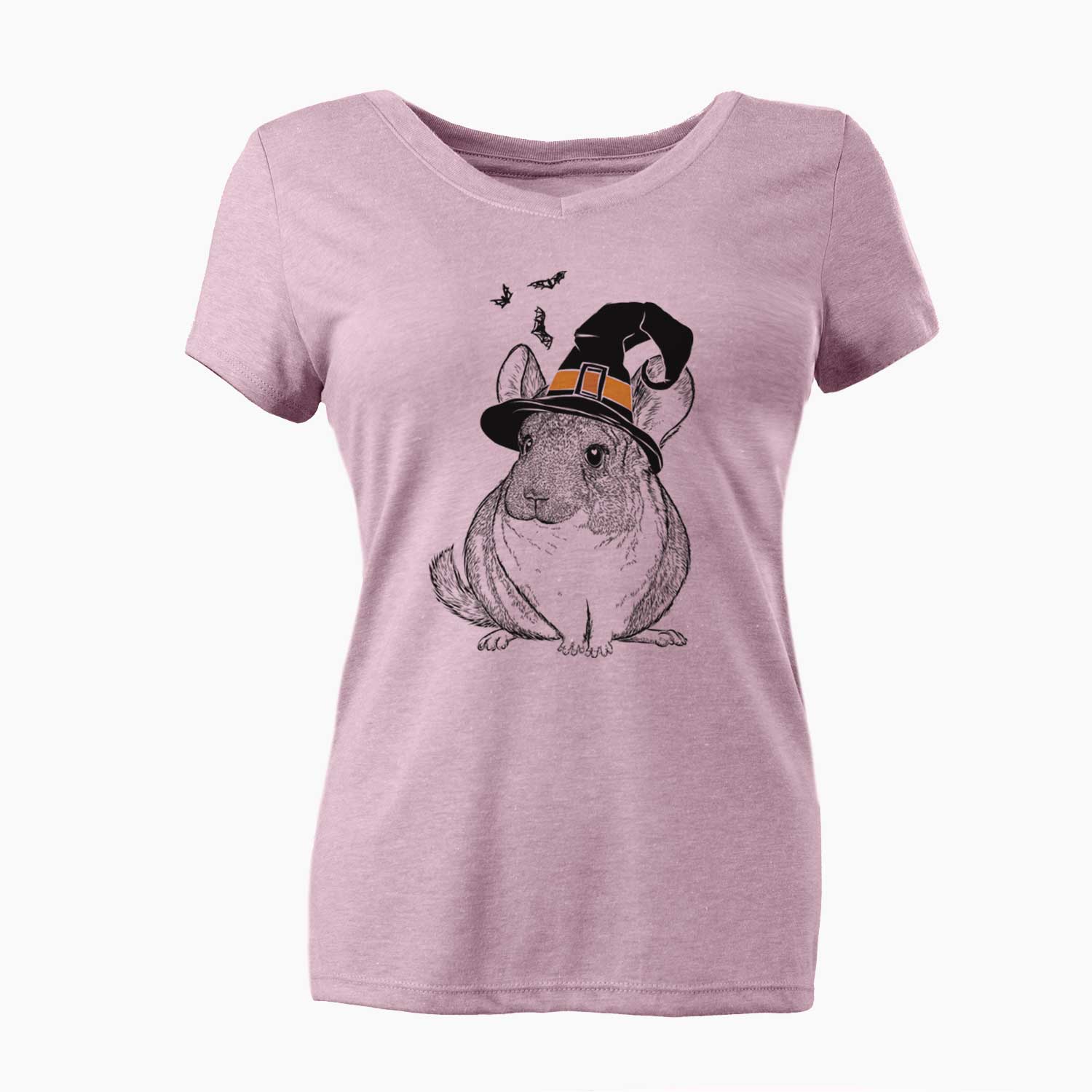 Witch Cheddar the Chinchilla - Women's V-neck Shirt