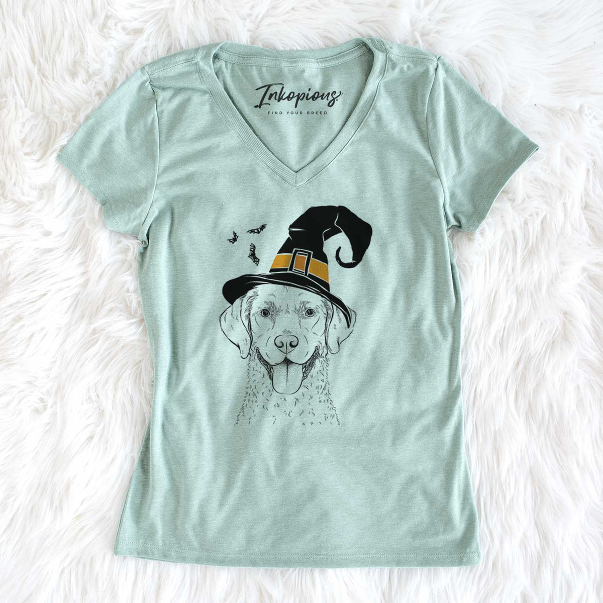 Witch Chip the Chesapeake Bay Retriever - Women's V-neck Shirt
