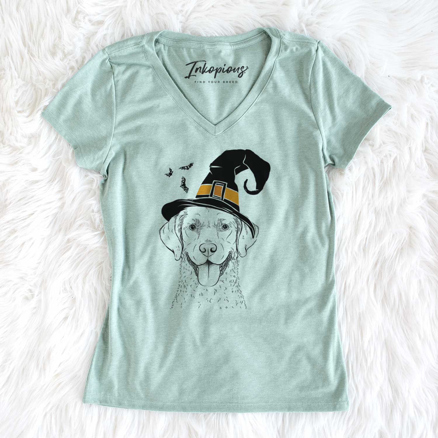 Witch Chip the Chesapeake Bay Retriever - Women's V-neck Shirt