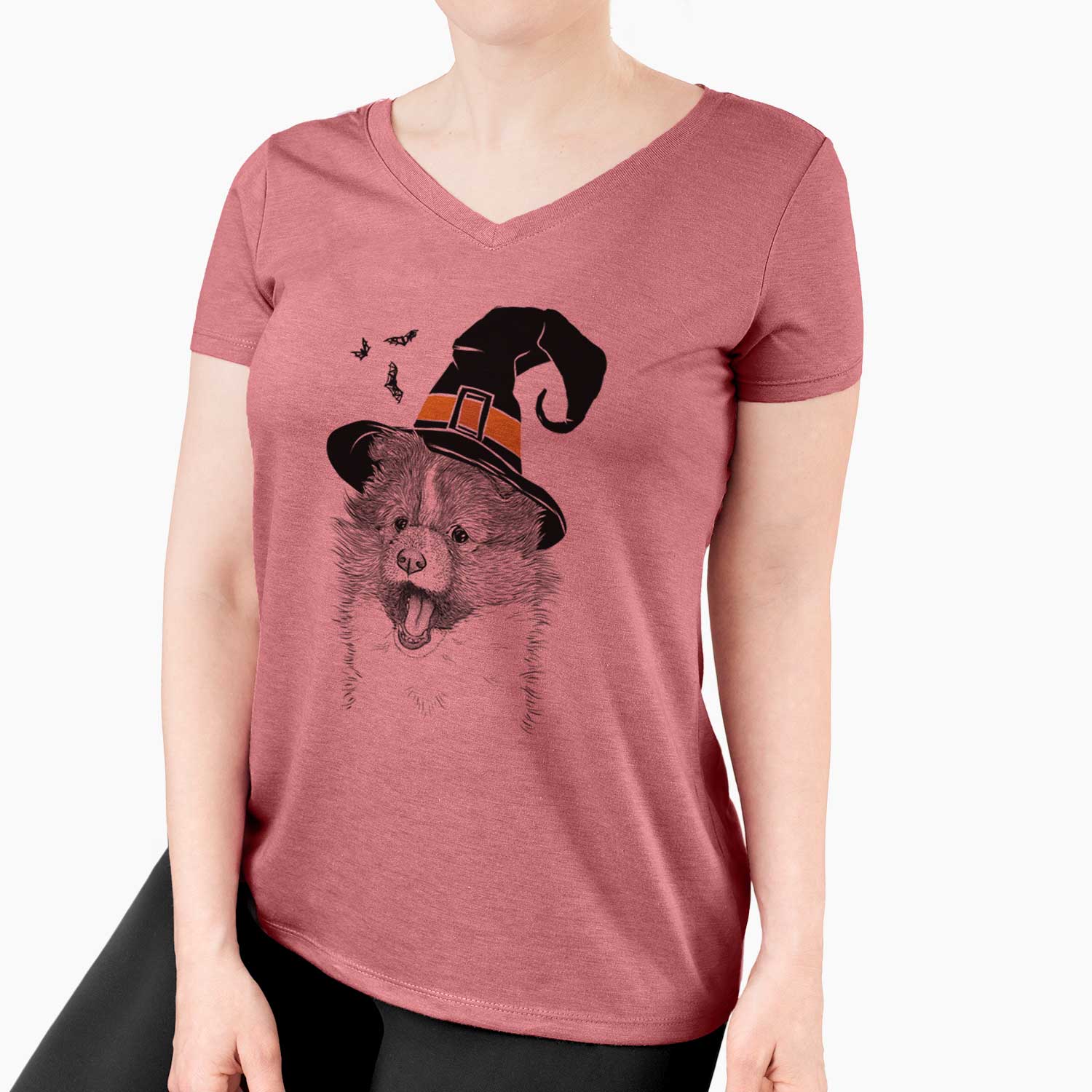 Witch Dylan the Shetland Sheepdog - Women's V-neck Shirt