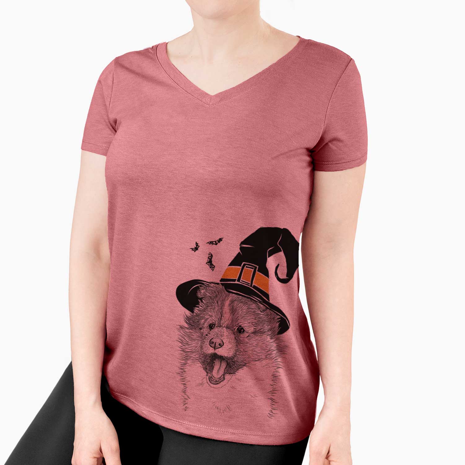 Witch Dylan the Shetland Sheepdog - Women's V-neck Shirt