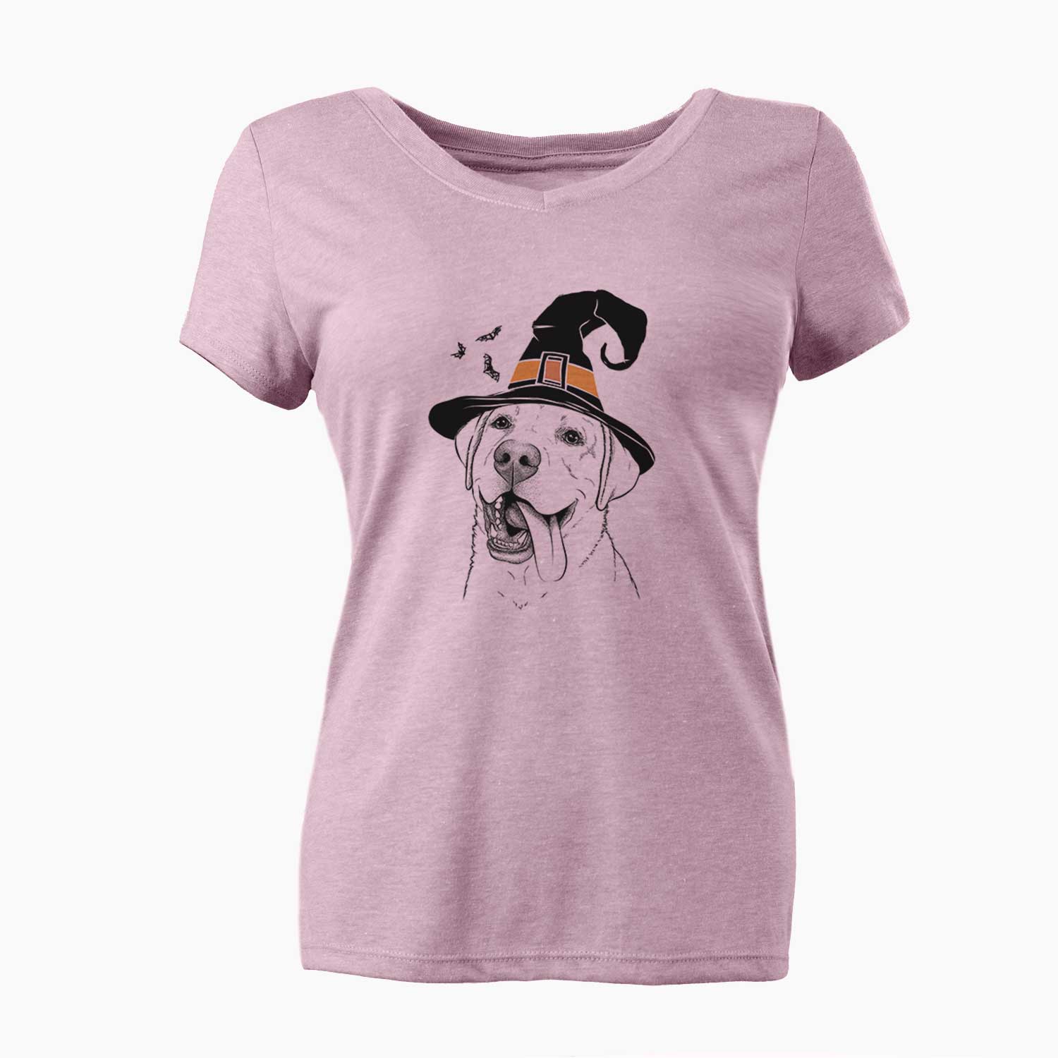 Witch Finn the Labrador Retriever - Women's V-neck Shirt