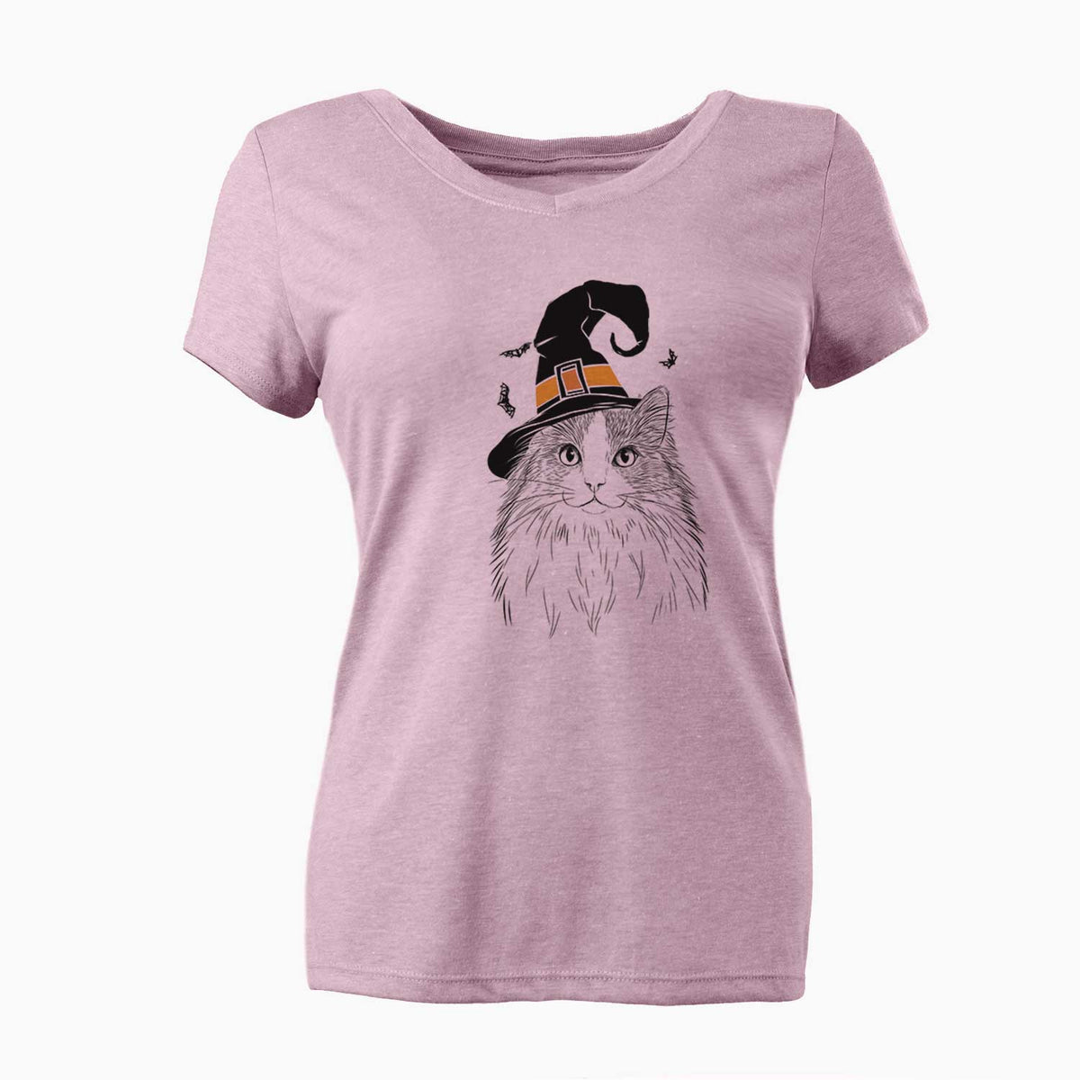 Witch Fiona the Ragdoll Cat - Women's V-neck Shirt