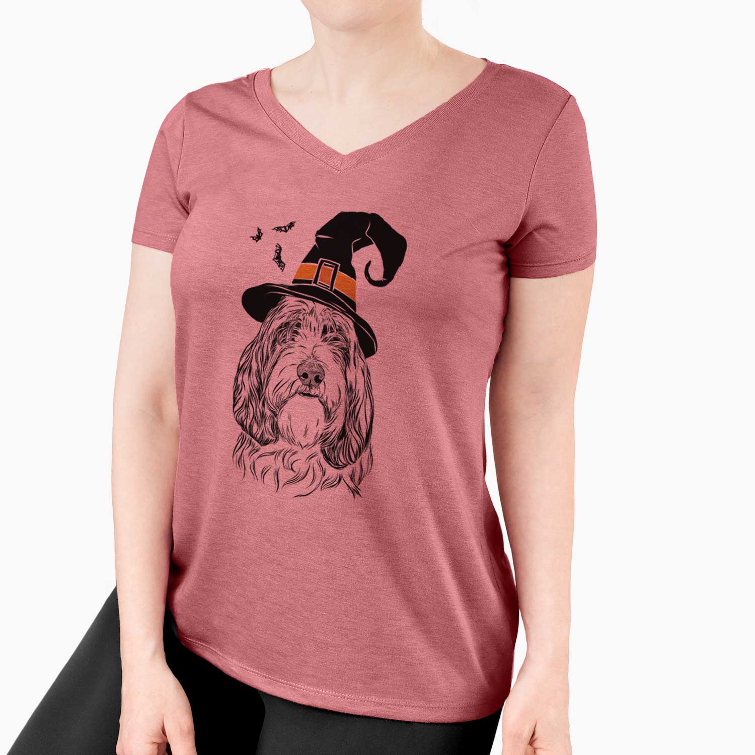 Witch Gerard the Petit Basset Griffon Vendeen - Women's V-neck Shirt