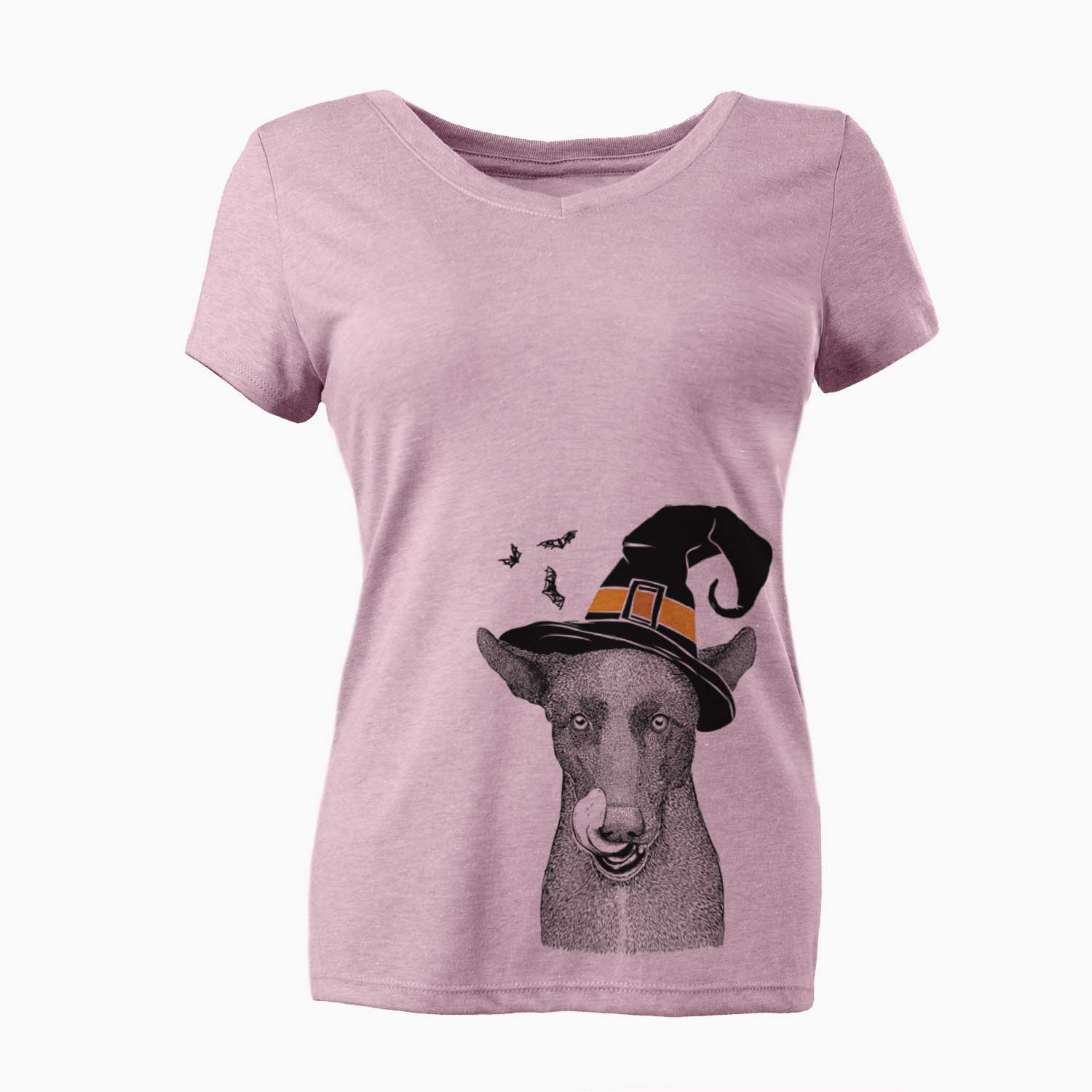 Witch Gidget the Mexican Street Dog - Women's V-neck Shirt