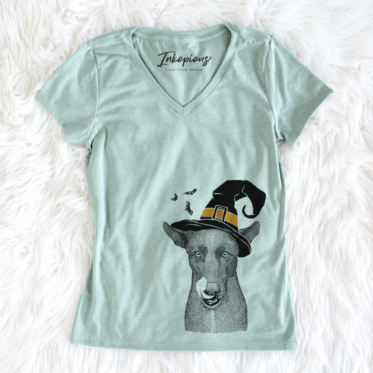 Witch Gidget the Mexican Street Dog - Women&#39;s V-neck Shirt