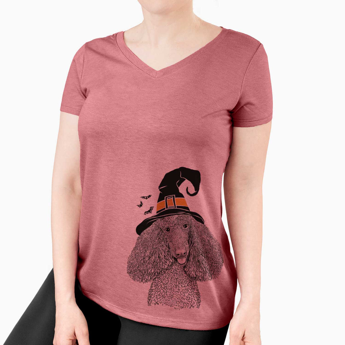 Witch Henry the Standard Poodle - Women's V-neck Shirt