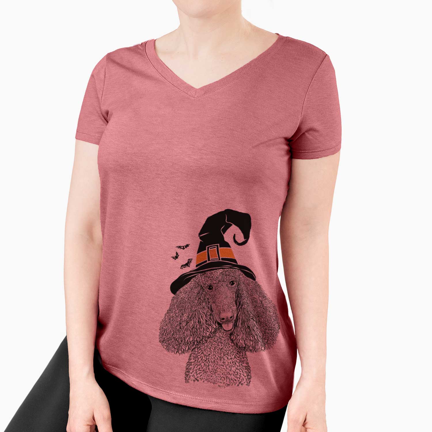 Witch Henry the Standard Poodle - Women's V-neck Shirt