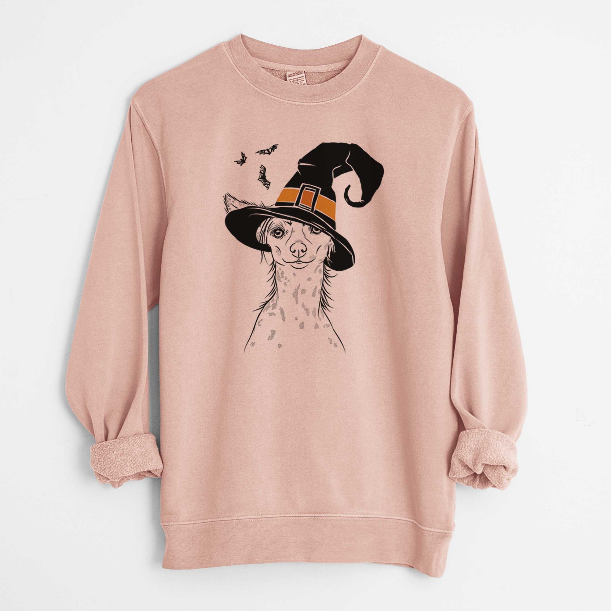 Witch Hudson the Chinese Crested - Unisex Pigment Dyed Crew Sweatshirt