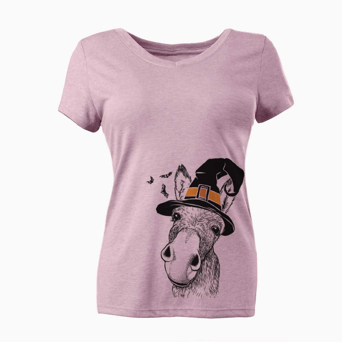 Witch Jenny the Donkey - Women's V-neck Shirt
