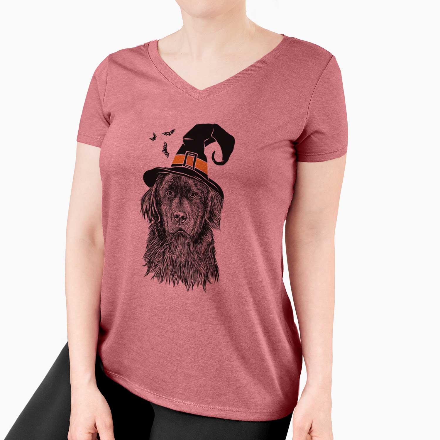 Witch Jinx the Newfoundland - Women's V-neck Shirt