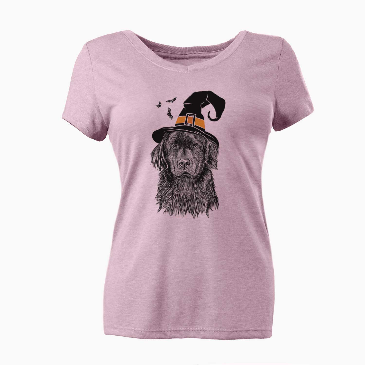 Witch Jinx the Newfoundland - Women's V-neck Shirt