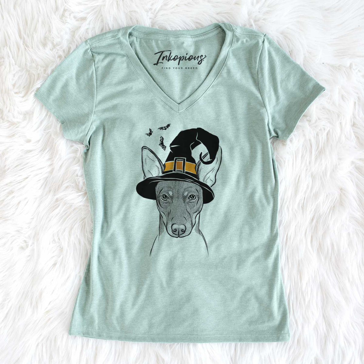 Witch Knox the Rat Terrier - Women's V-neck Shirt