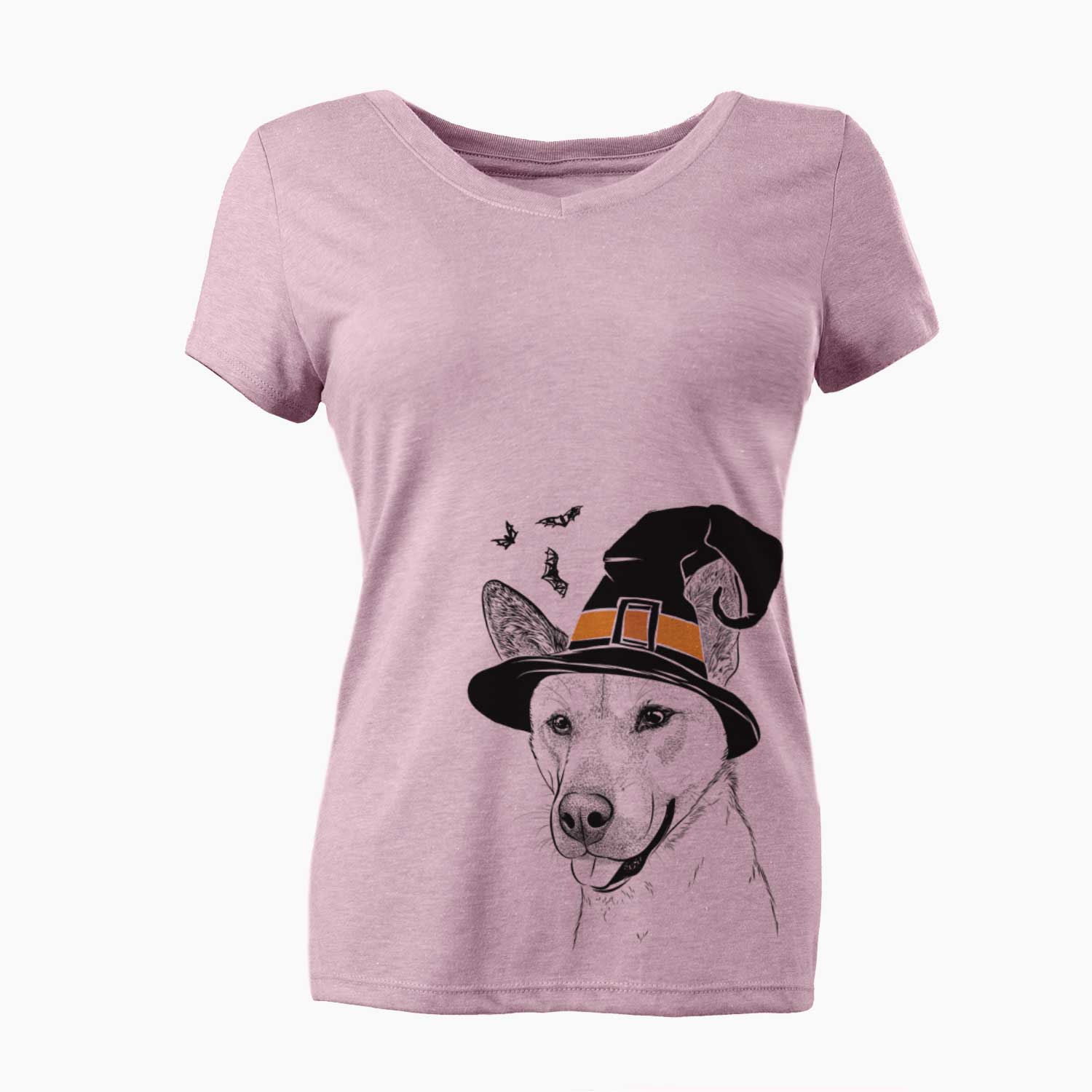 Witch Kulfi the Jindo Shiba Inu Mix - Women's V-neck Shirt