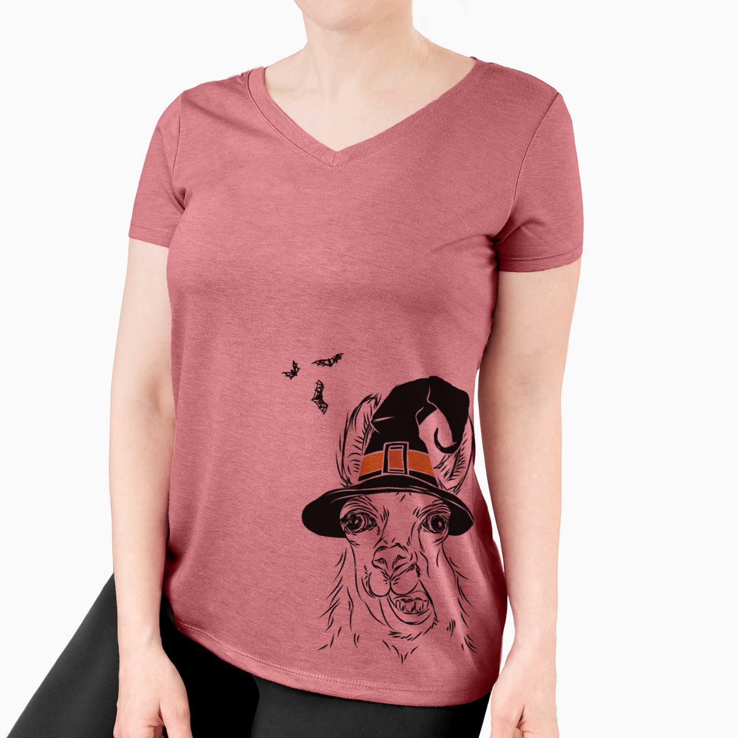 Witch Larry the Llama - Women's V-neck Shirt