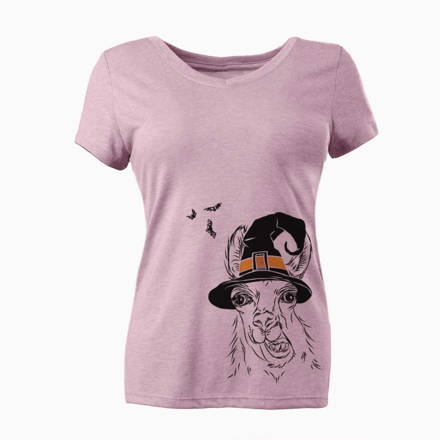 Witch Larry the Llama - Women's V-neck Shirt