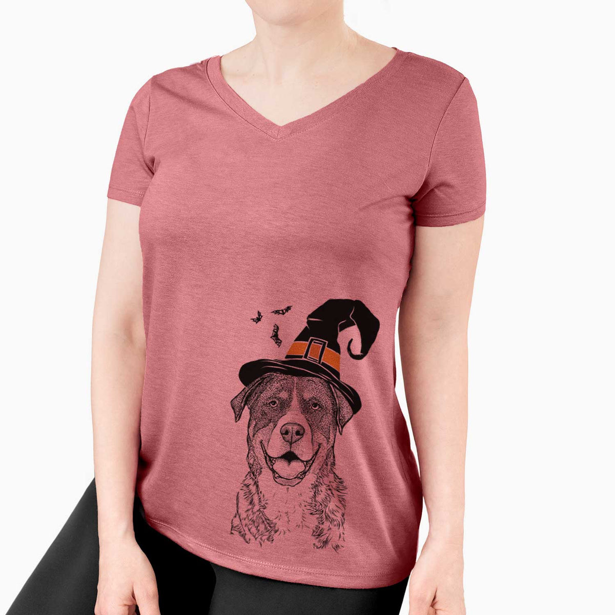 Witch Leon the Greater Swiss Mountain Dog - Women's V-neck Shirt