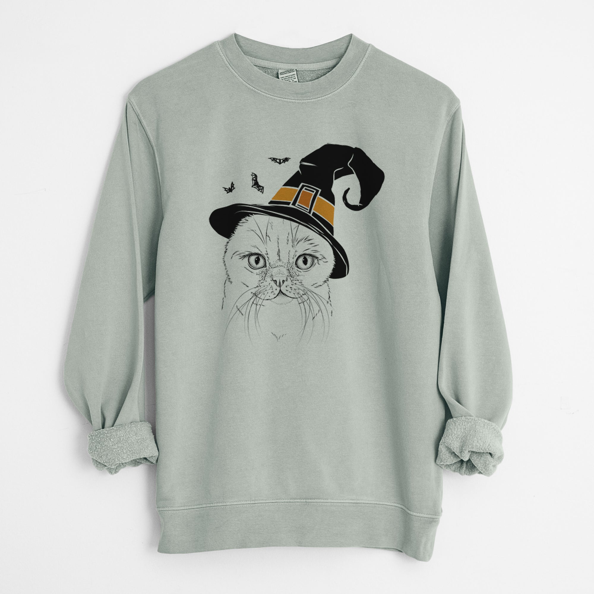 Witch Lina the Exotic Fold Cat - Unisex Pigment Dyed Crew Sweatshirt