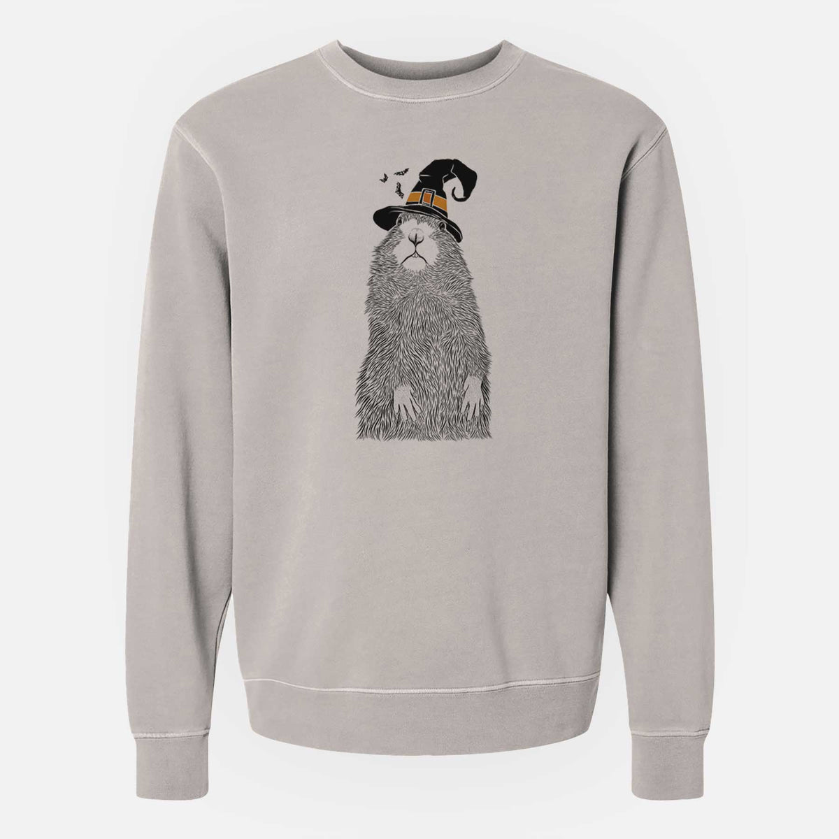 Witch Mr. Otis the Prairie Dog - Unisex Pigment Dyed Crew Sweatshirt