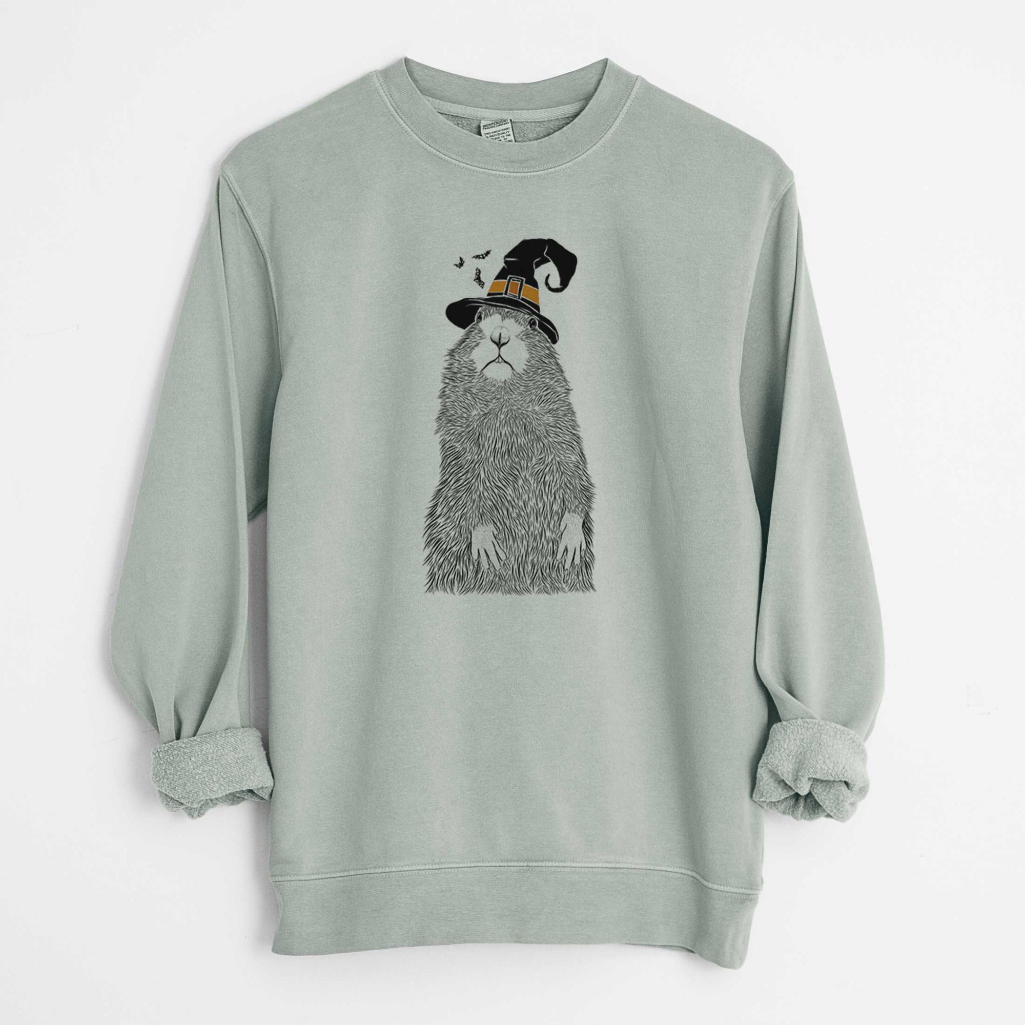 Witch Mr. Otis the Prairie Dog - Unisex Pigment Dyed Crew Sweatshirt