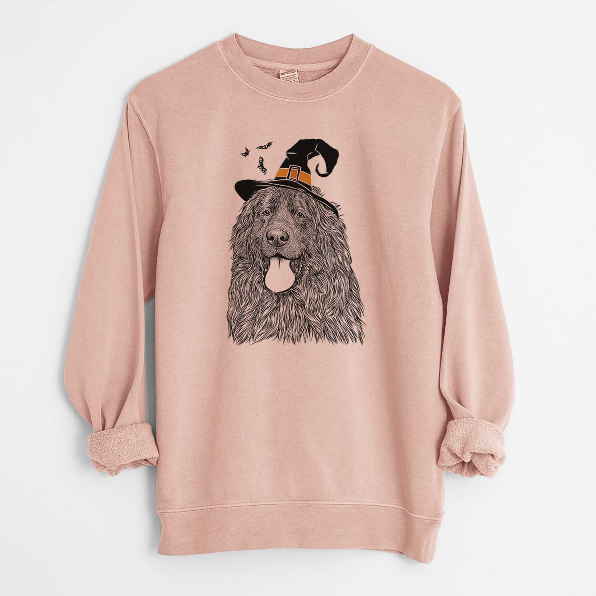 Witch Neptune the Newfoundland - Unisex Pigment Dyed Crew Sweatshirt