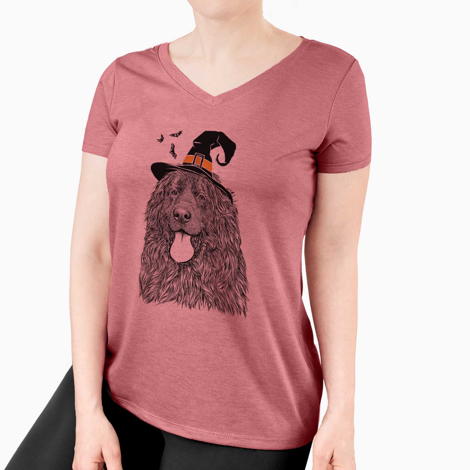 Witch Neptune the Newfoundland - Women's V-neck Shirt