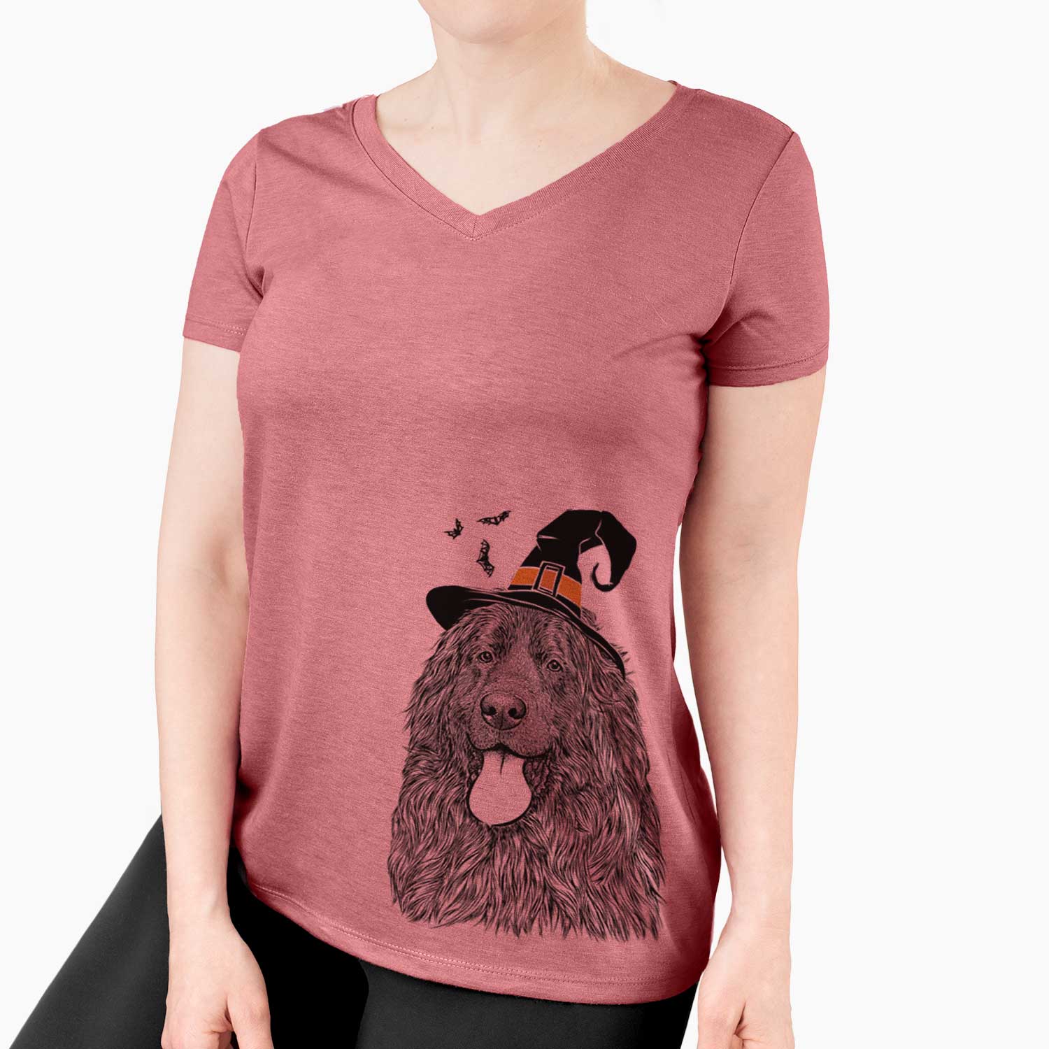 Witch Neptune the Newfoundland - Women's V-neck Shirt