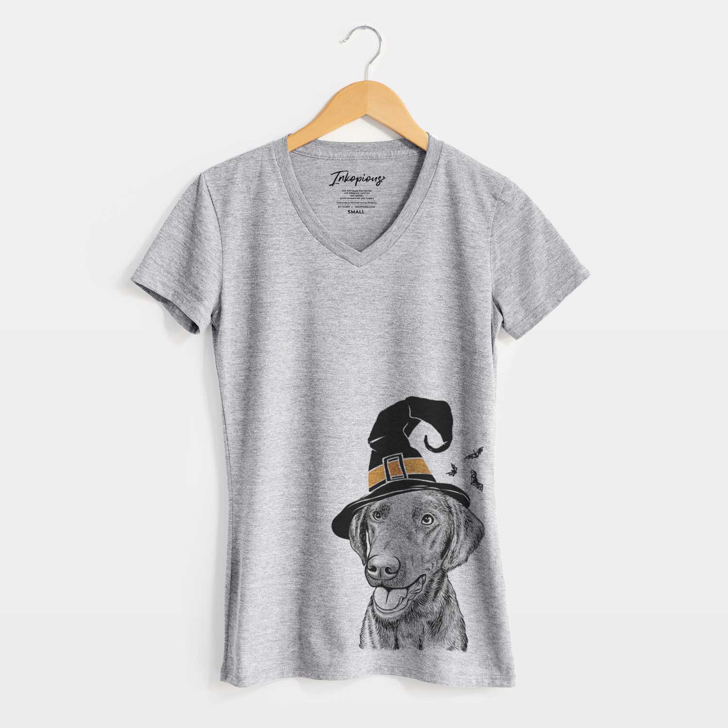 Witch Onyx the Labrador Retriever - Women's V-neck Shirt