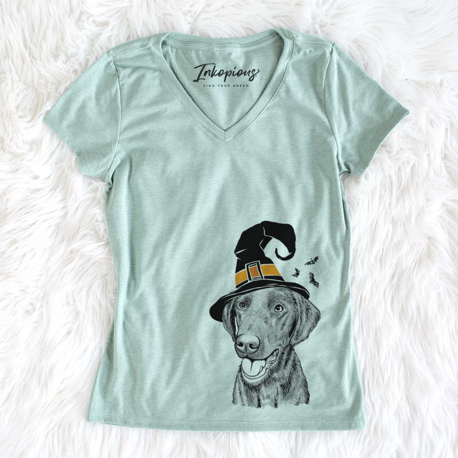 Witch Onyx the Labrador Retriever - Women's V-neck Shirt