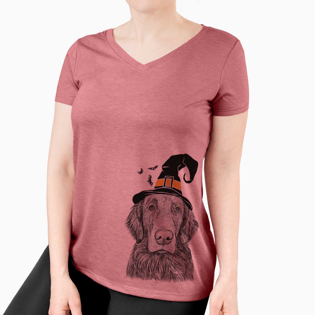 Witch Pippin the Flat Coated Retriever - Women's V-neck Shirt