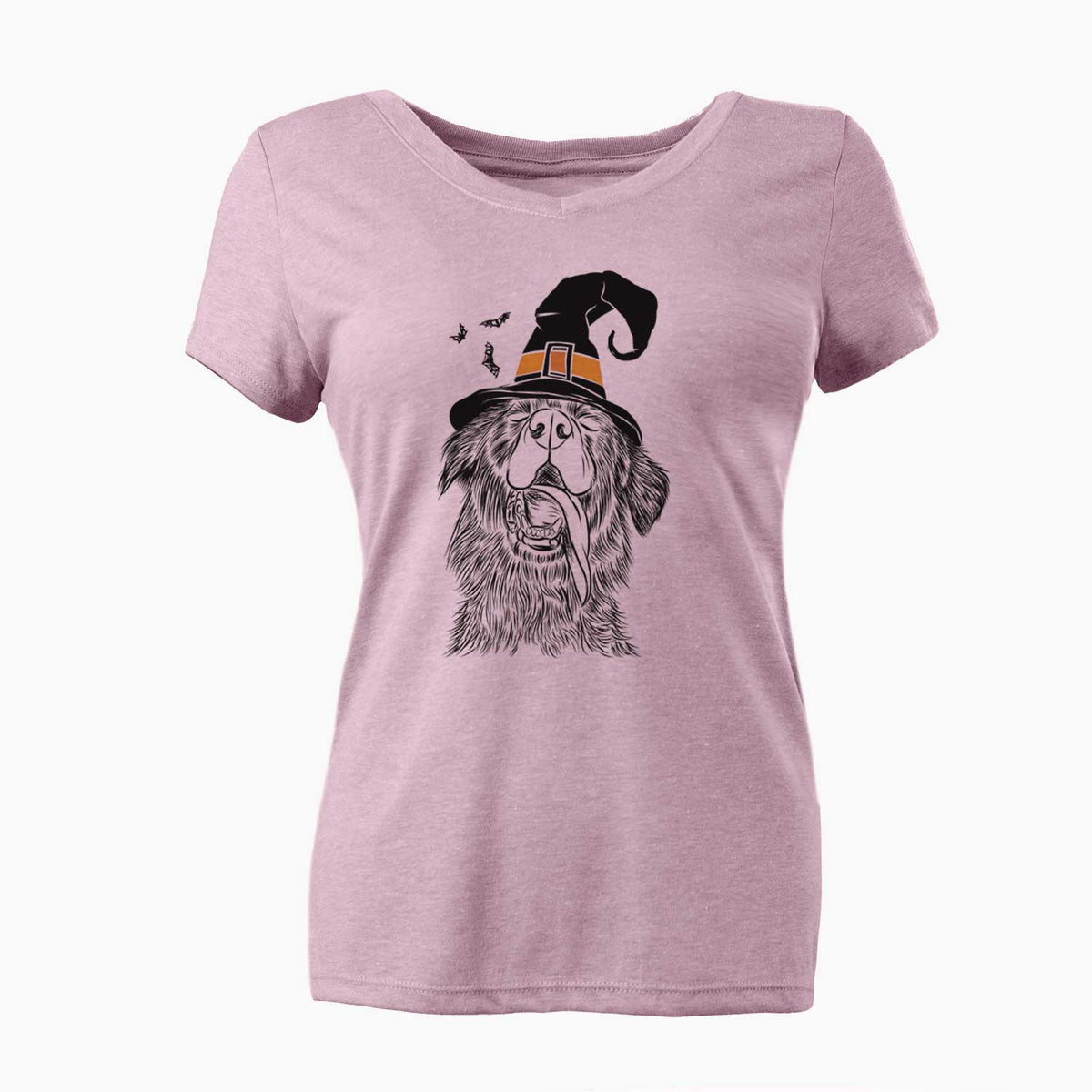 Witch Quint the Mixed Breed - Women's V-neck Shirt