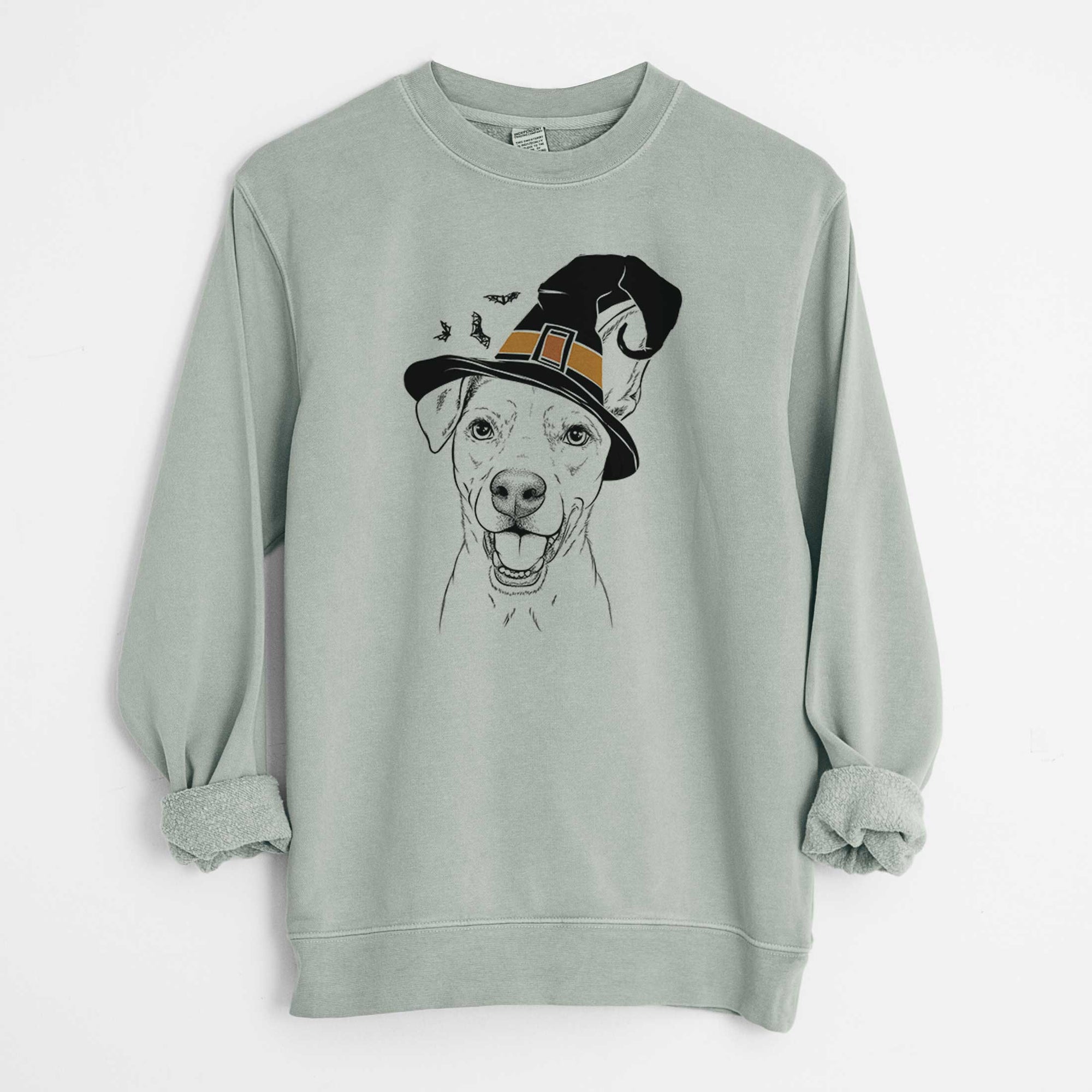 Witch Radar the Pitbull Mix - Unisex Pigment Dyed Crew Sweatshirt