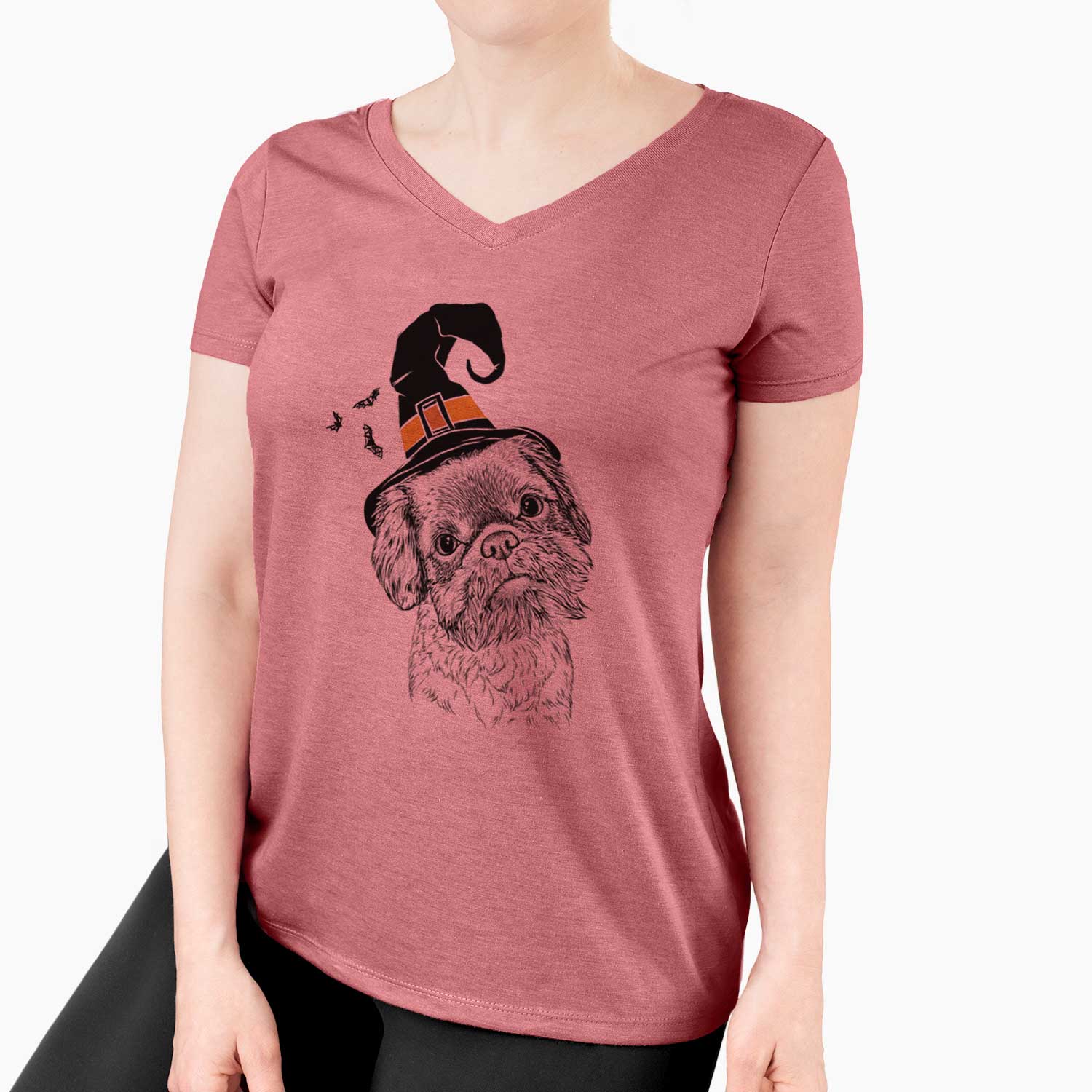 Witch Rufus the Shiffon - Women's V-neck Shirt