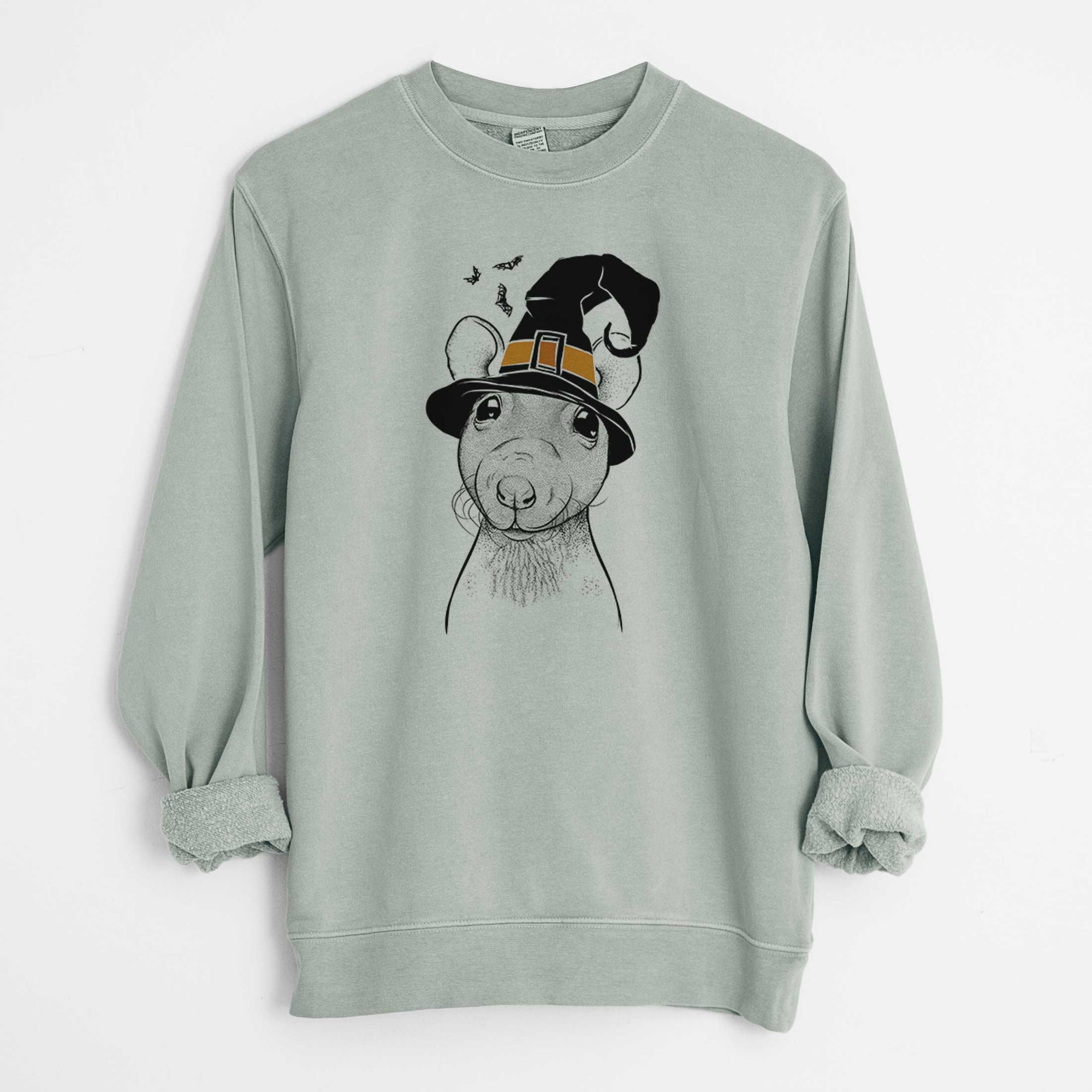 Witch Ruthie the Hairless Rat - Unisex Pigment Dyed Crew Sweatshirt