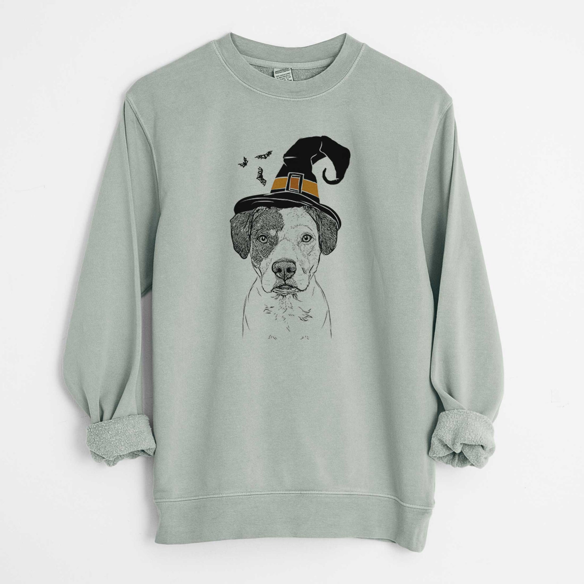 Witch Ryleigh the Beagle Pitbull Mix - Unisex Pigment Dyed Crew Sweatshirt