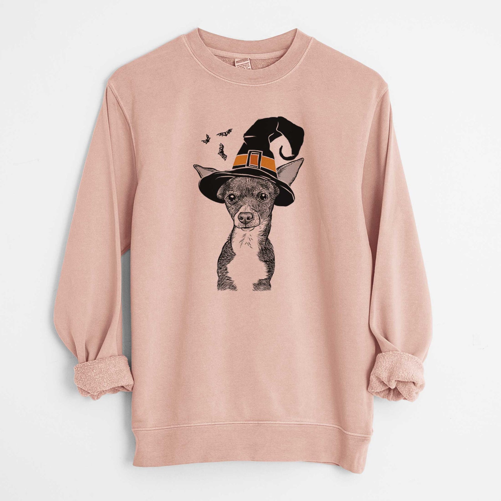 Witch Tiny Archie the Mixed Breed - Unisex Pigment Dyed Crew Sweatshirt