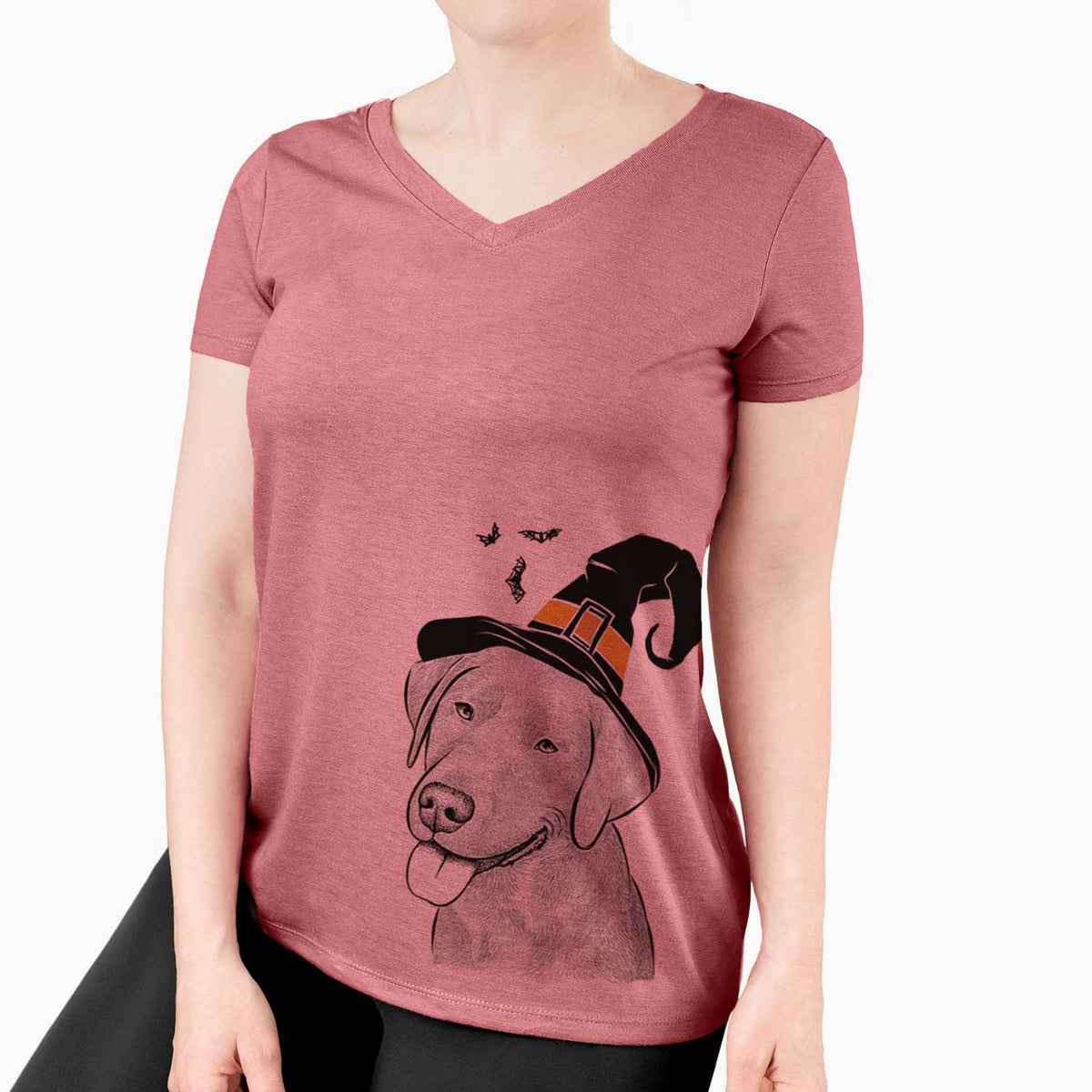 Witch Zeppelin the Black Labrador - Women's V-neck Shirt